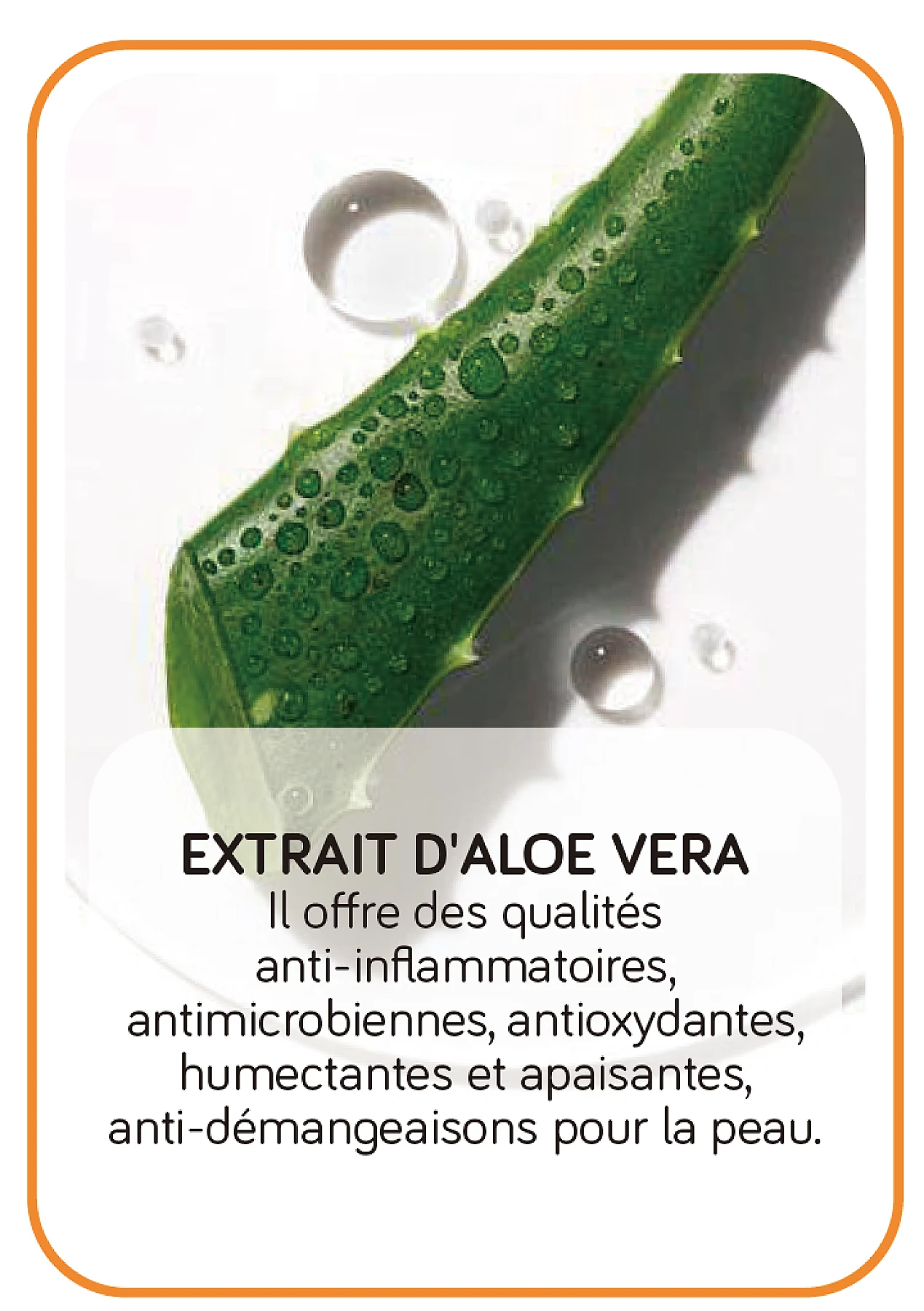 Skin Biology Gel Nettoyant Booster d'Éclat à la Vitamine C 120ml – SKIN BIOLOGY 120 ml