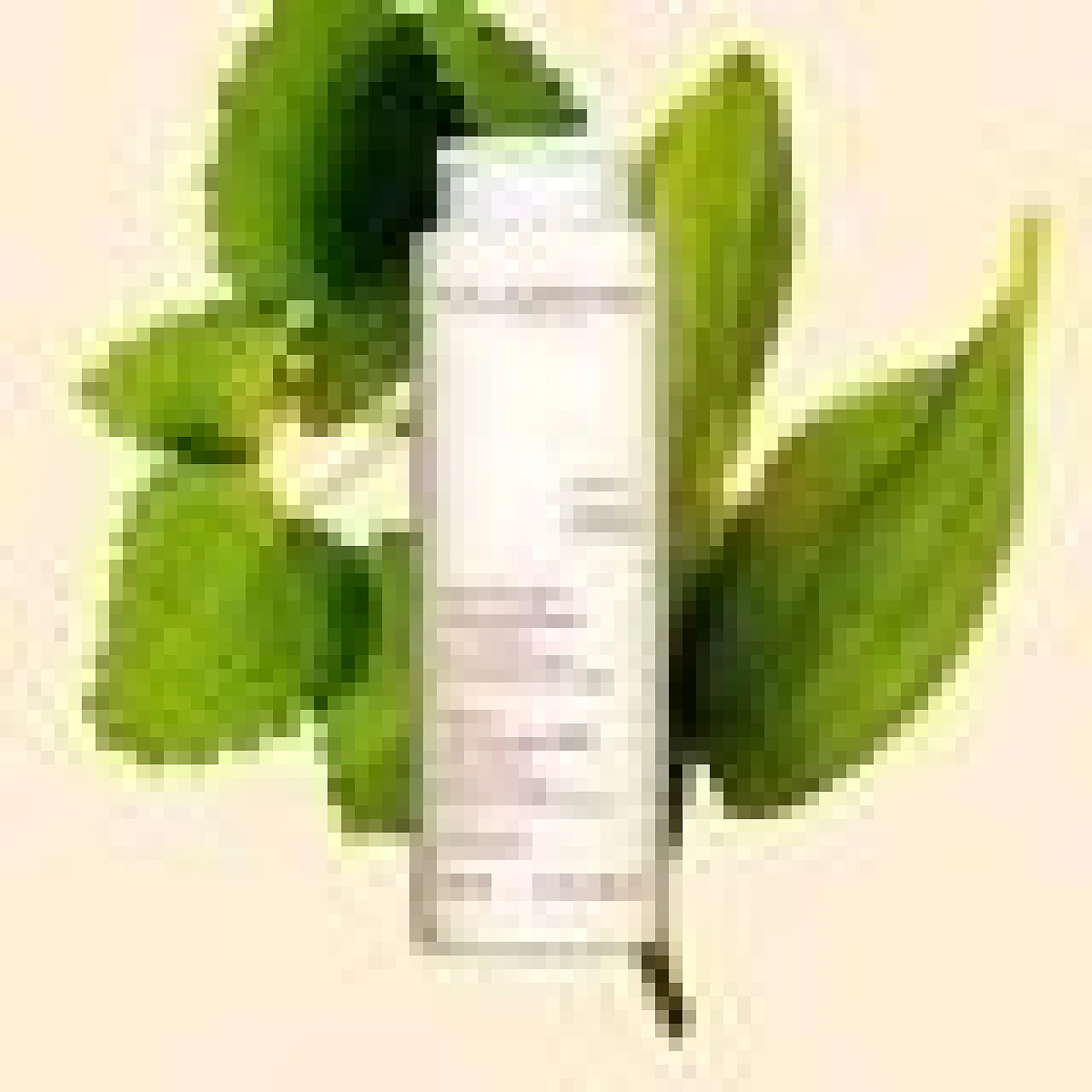 CLARINS Lait Démaquillant​ Visage​ 200ml